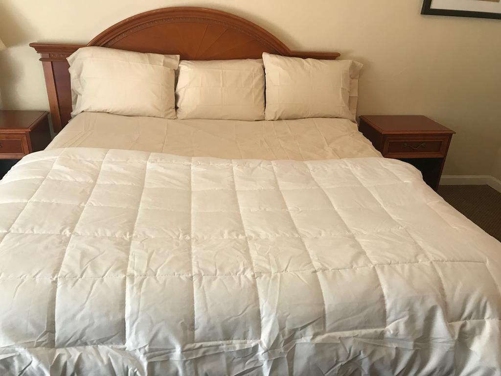 Red Carpet Inn, الإسكندرية، فيرجينيا المظهر الخارجي الصورة